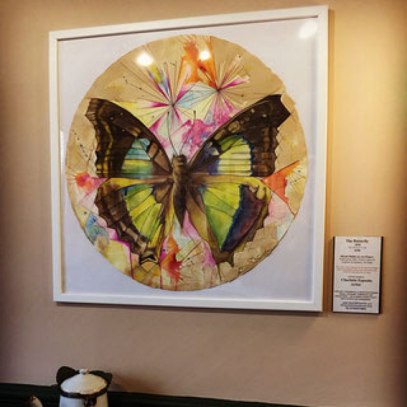 Large butterfly painted on Japanese watercolour paper. A round painting in a square white frame; colourful and detailed. Modern and illustrative..