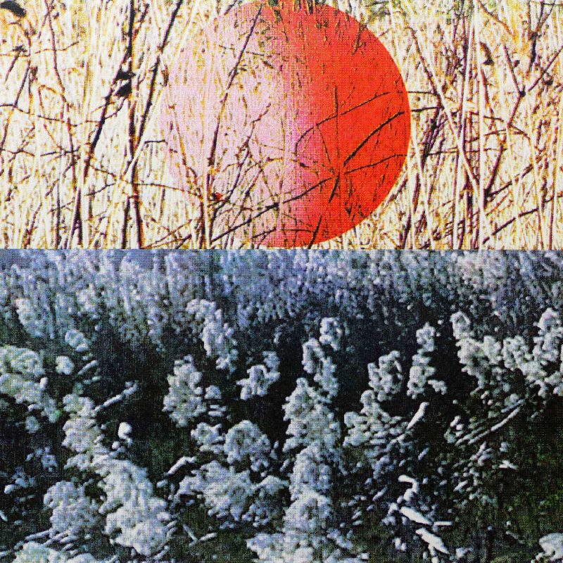 Print of a reed bed with a red sun