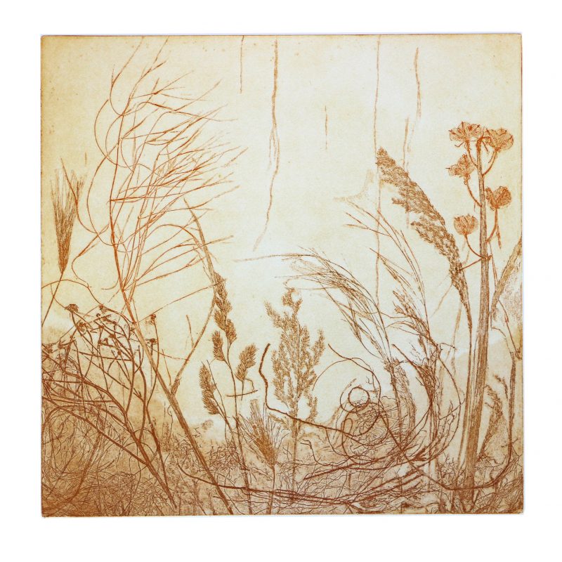 Impressions of grasses in yellow and ochre tones