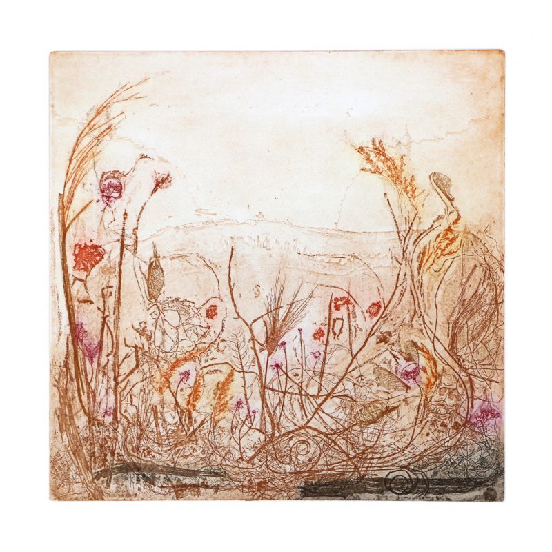 Impressions of grasses in yellow, red and ochre tones