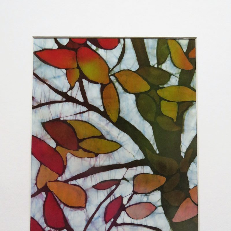 A tree branch with autumn leaves in yellows, oranges, reds and browns.