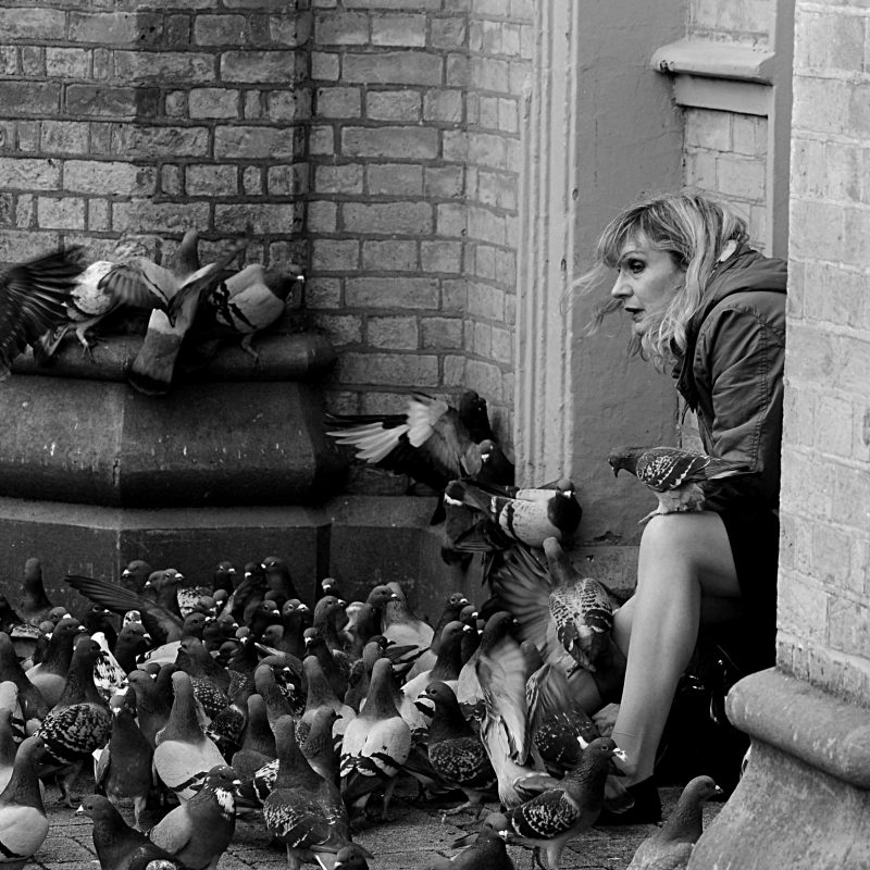 A woman is sitting in a doorway surrounded by pigeons 