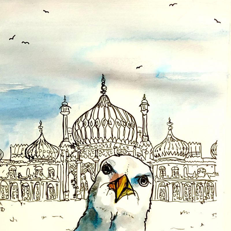 Fine art print of a seagull's face in front of the Brighton pavilion, with 'Chips! Give me your chips!' written on the image.