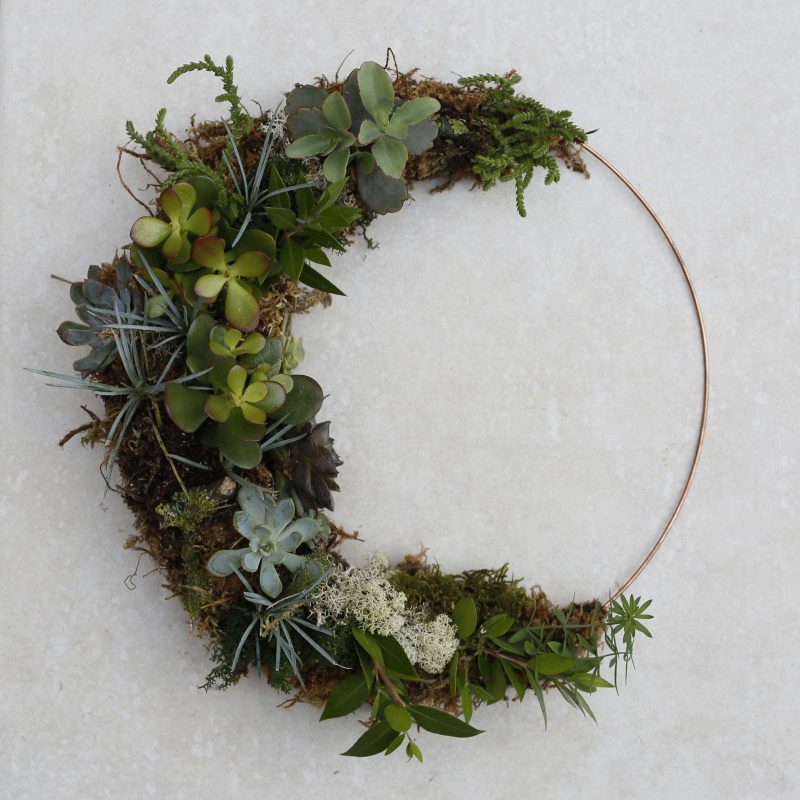 A crescent moon shape of succullents rooted in moss on a copper ring