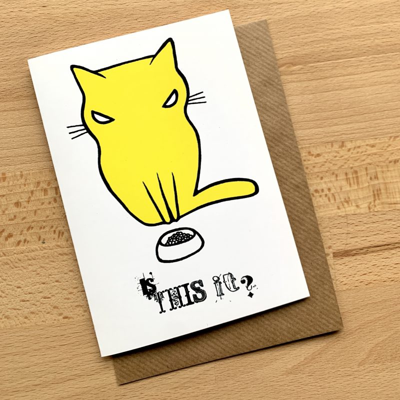 A disapproving looking yellow cat sits behind an empty food bowl with the text Is This It?