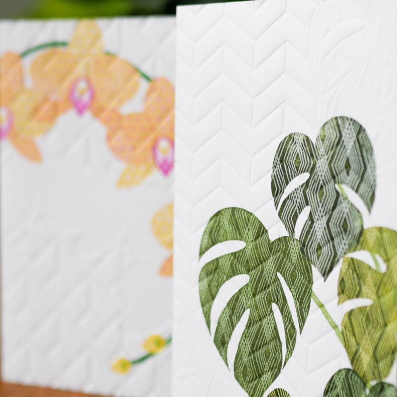 Greeting Cards indoor plants, orchid and cheese plant