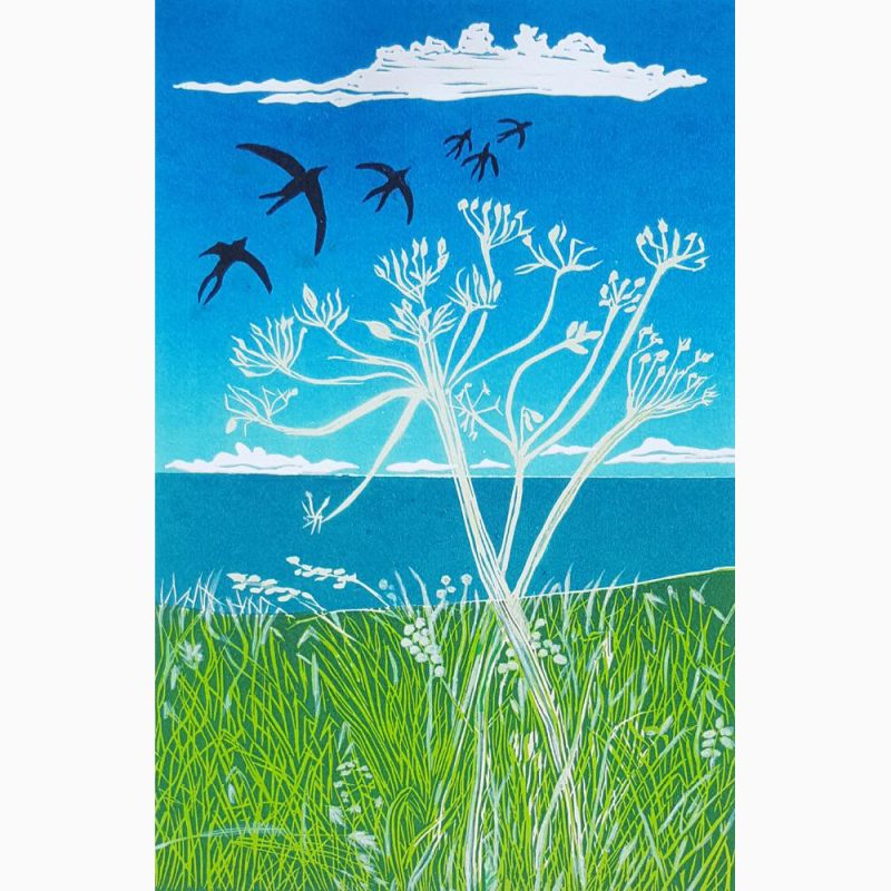 Black swifts flying on a deep blue sky beneath white clouds & over lighter blue sea, green downland, yellow & white grasses & a prominent white teasel.