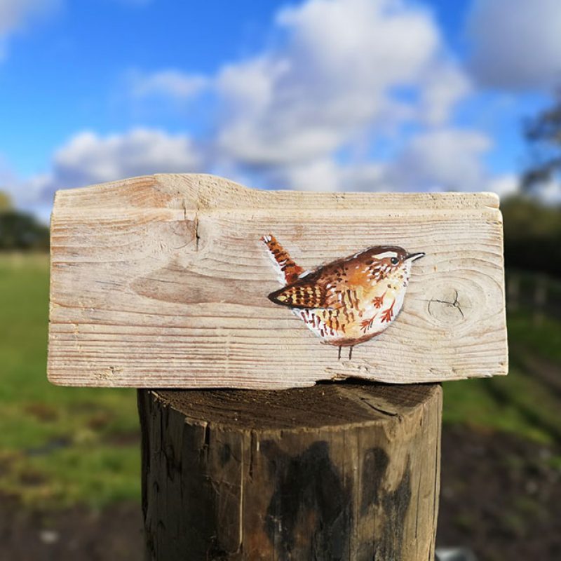 A wren called Desmond. Original acrylic painting on a beautiful piece of Sussex driftwood. Fixings are attached to the back of the piece so it is ready to hang on a wall.   Each painting is individually signed by Liz on the back of the painting along with the name of the bird.  