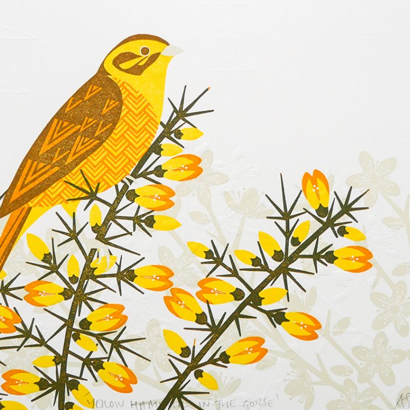 yellowhammer in a flowering gorse over looking embossed electrical pylons in the background