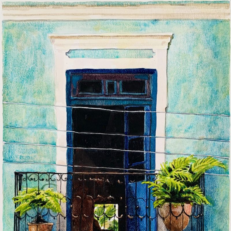 Balcony with tropical plants on a turquoise house