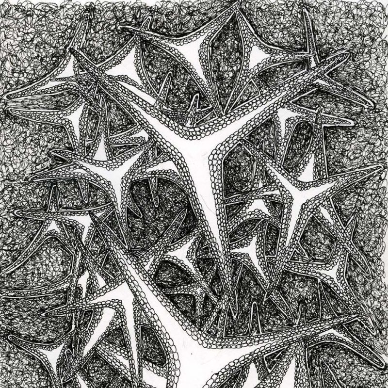 Pen drawing of microscopic chalk spicules