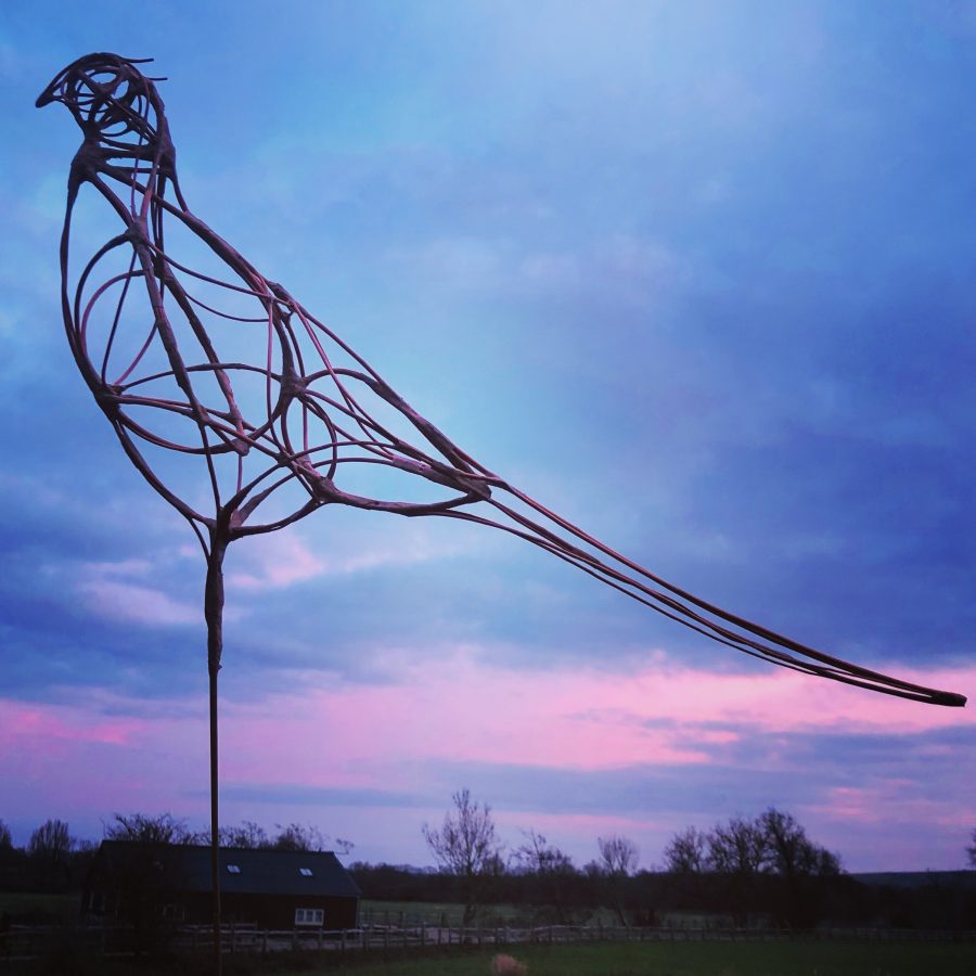 Pheasant maquette made from willow against a colourful sunset backdrop of vivid blues and pinks.