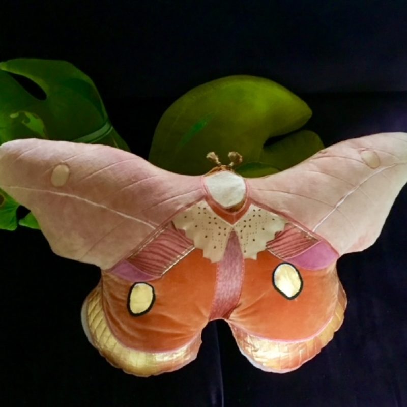 Velvet and vintage fabrics in blush pink and burnt orange with embellishments of gold make up this beautiful moth, photographed gaint a black background
