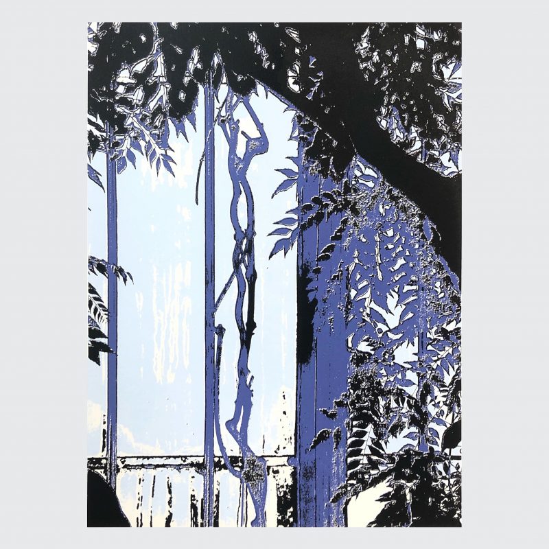 Screenprint of plants in a tropical palm house in hues of blue and purple