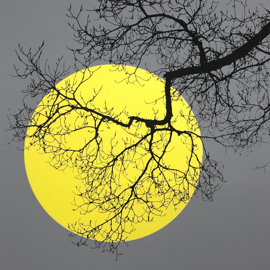 A silhouette of a branch of a tree against a stylised yellow moon in a grey sky