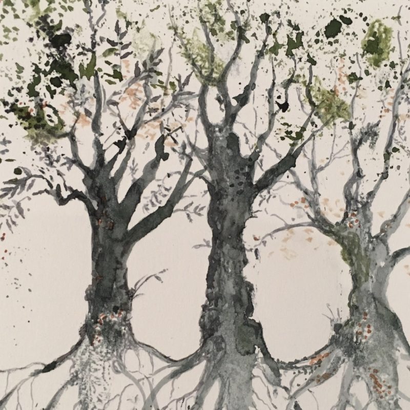 Watercolour painting of trees and roots