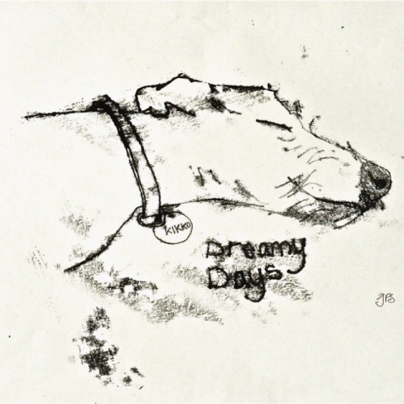 Sleeping lurcher head and neck, with collar, black and white