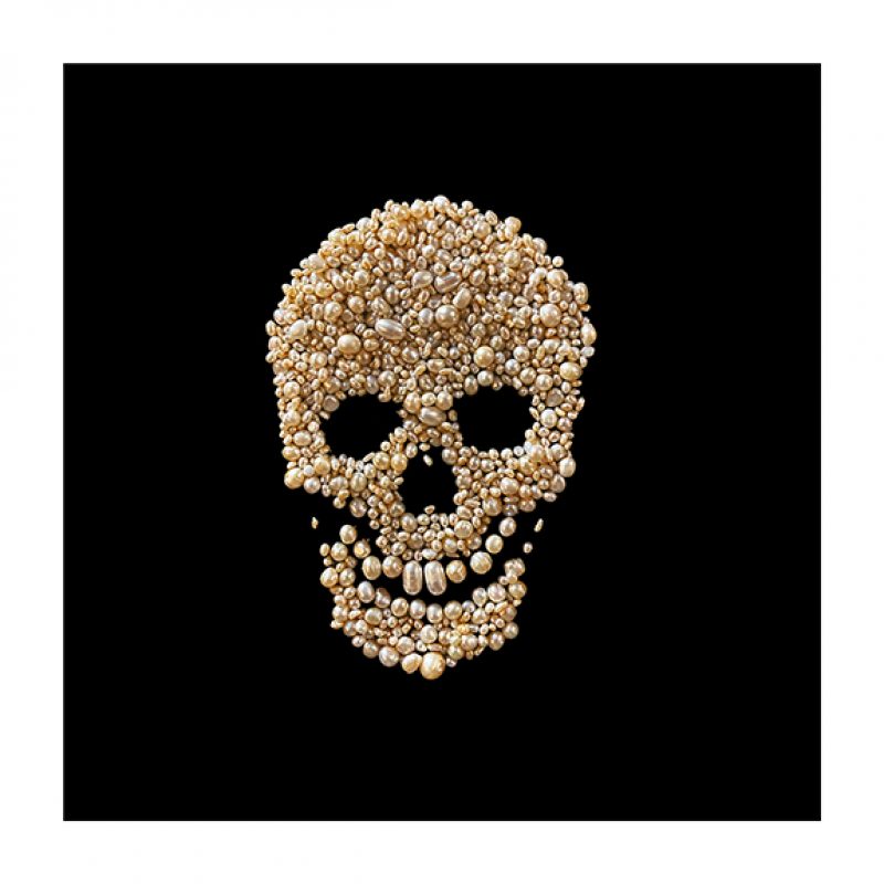 A Vanitas skull art work made entirely from genuine pearls, mounted  on a black background and framed