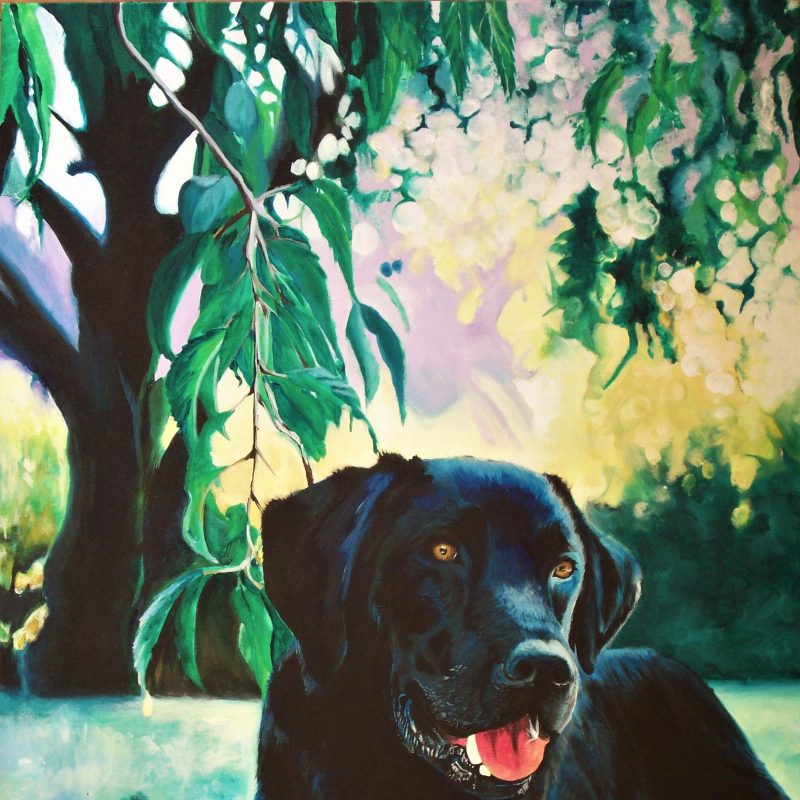 Black Labrador in landscape, acrylic on canvas, 60 x 42cm