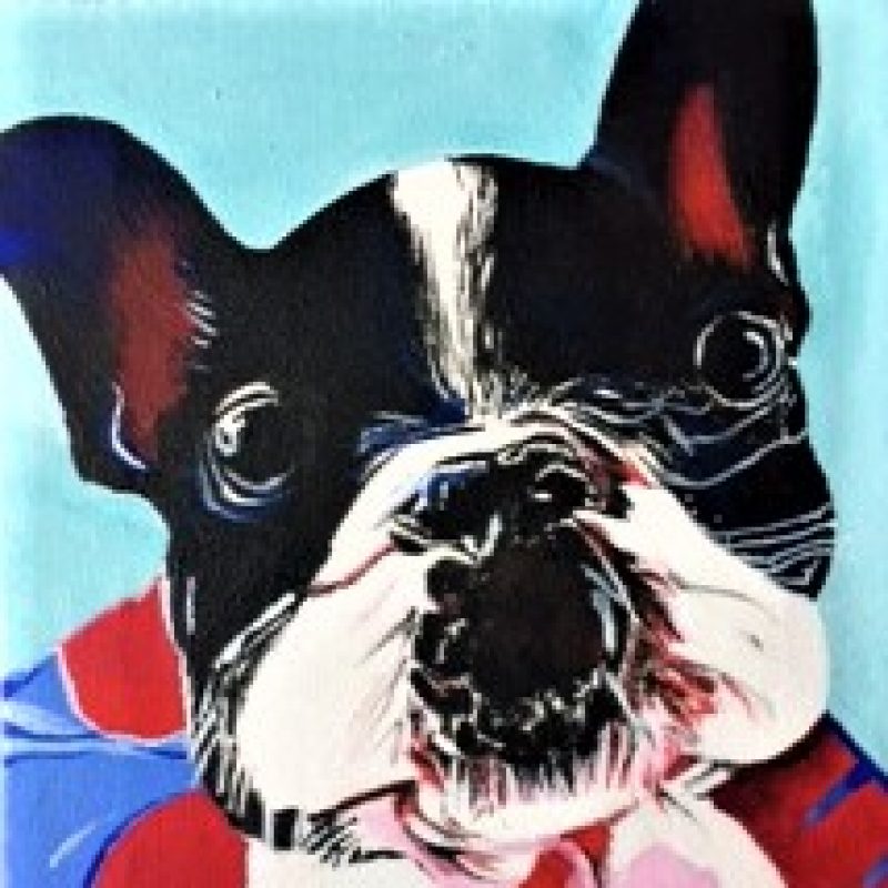 Pepé the black and white French Bulldog, close up portrait pop art style, acrylic on square canvas