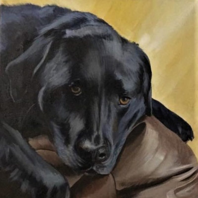 Roxy the black Labrador lying on her favourite beanbag, acrylic on canvas, 84 x 60cm