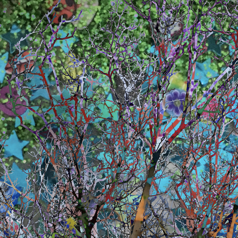 Digitally manipulated colourful trees and branches 