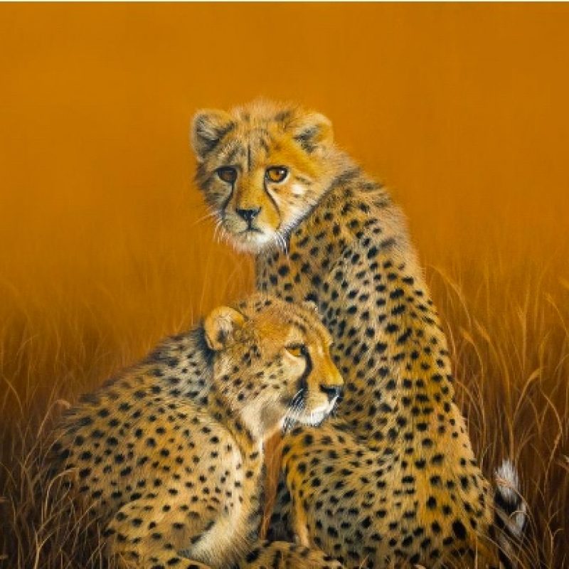 Acrylic Cheetahs