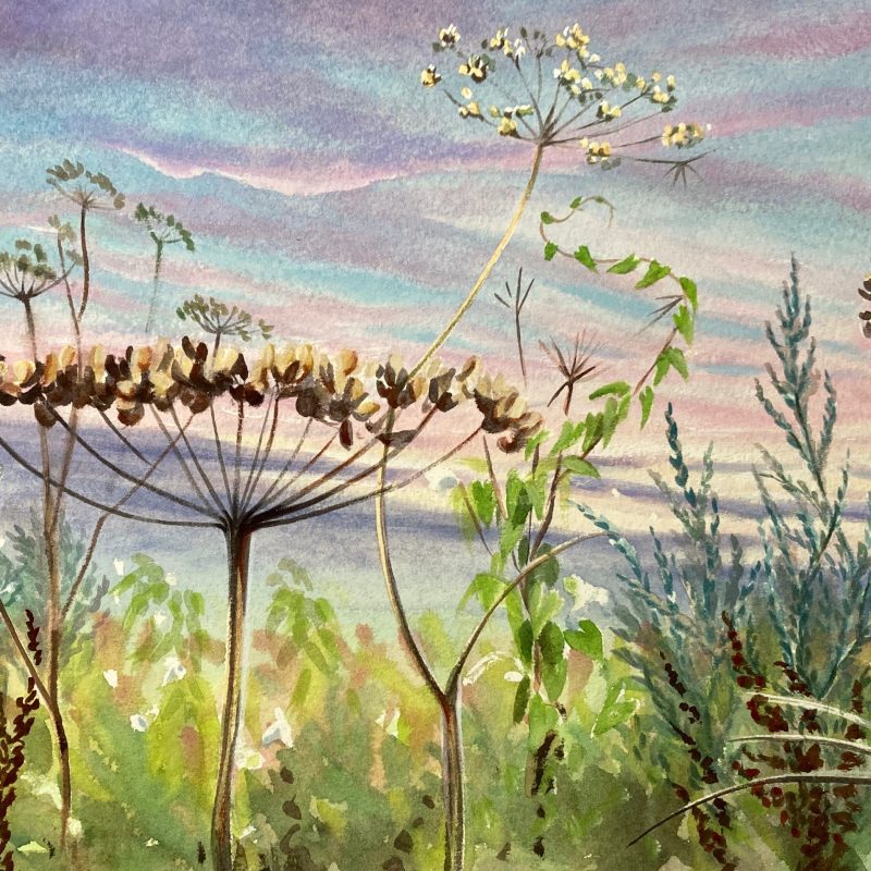watercolour of looking at ground level through grasses with sunset