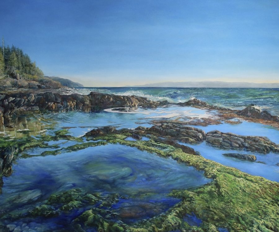 A foreground of floating seaweed in rock pools filled with blue from the calm endless sky.