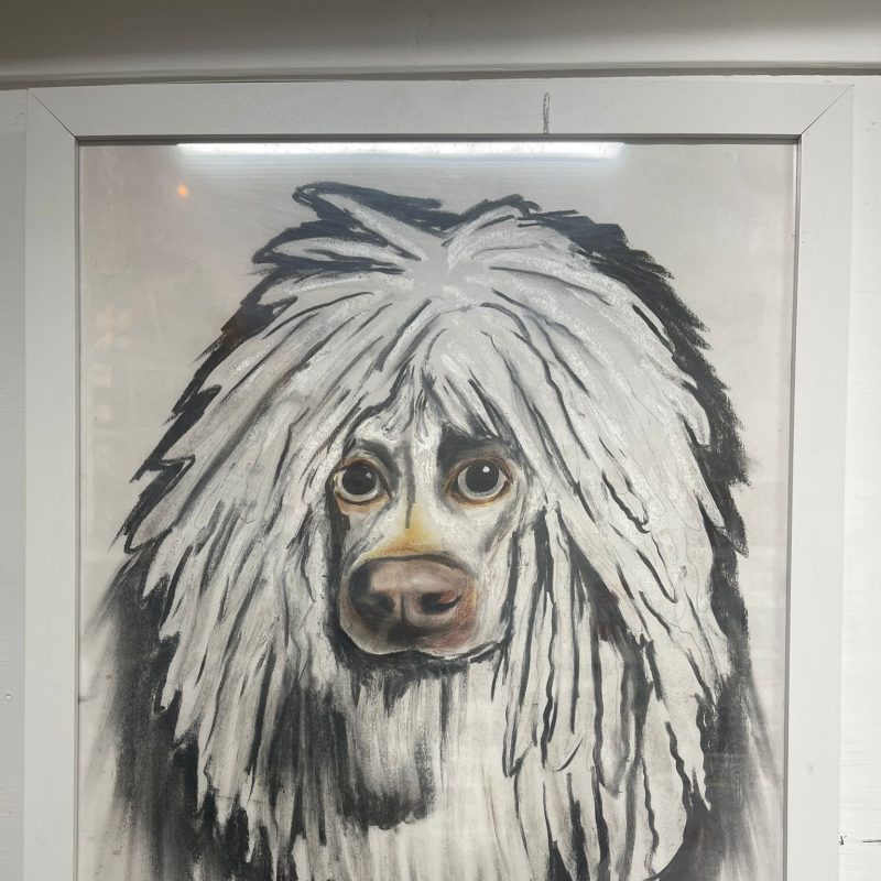 Modern art of Pop polly dog portrait