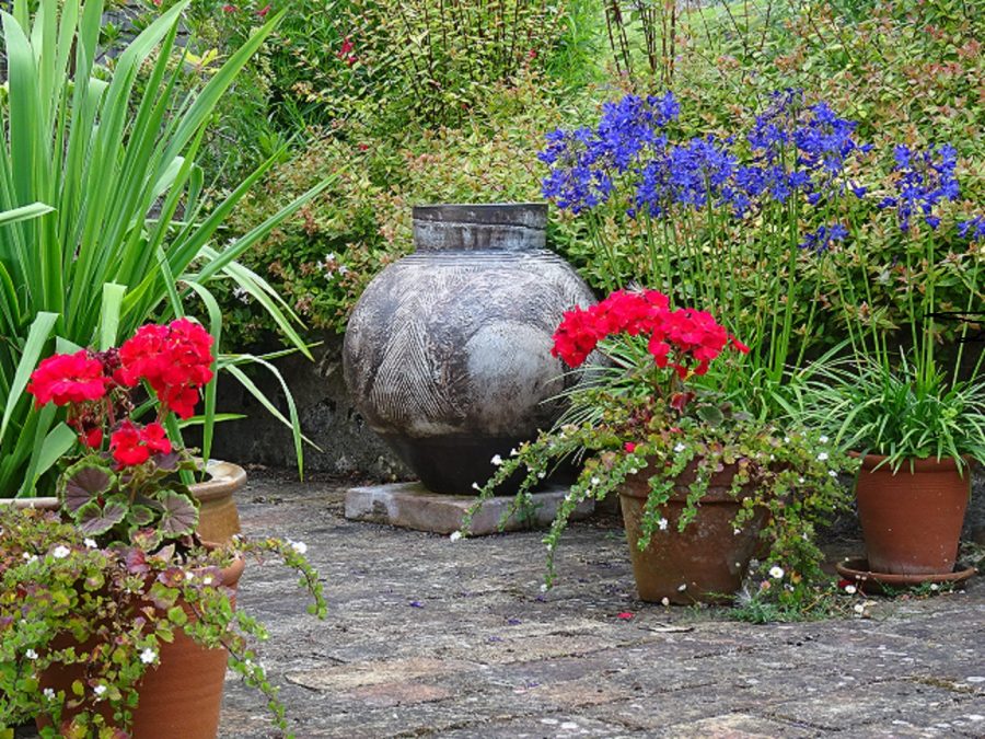 Garden pot on terrace surrounded by flowers