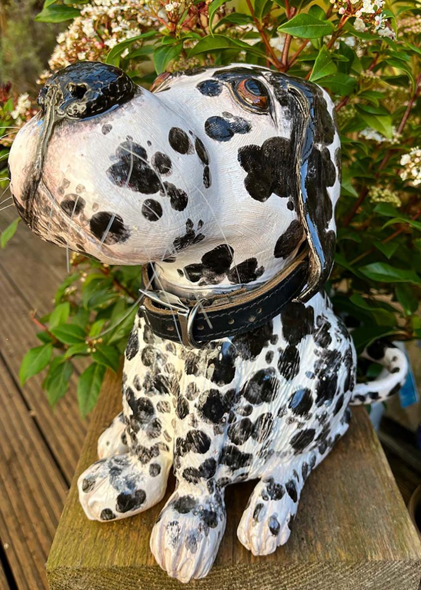 Duke The Pottery Dalmation At Woofing Fabulous Pottery In Saltdean