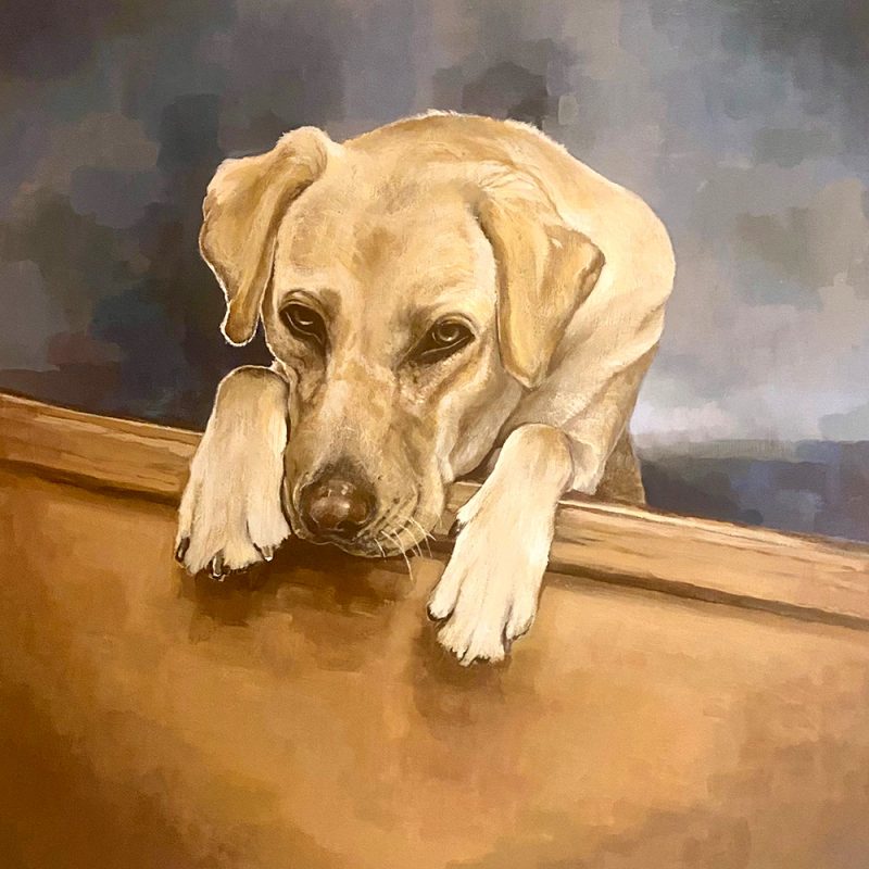 Portrait painting of Labrador