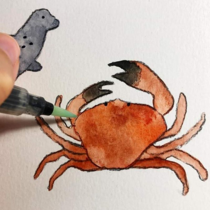 A delightful seaside crab illustration, drawn using illustration and watercolour by the artist.