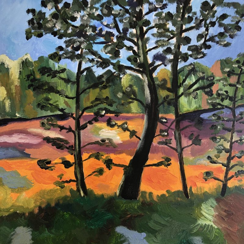 Vibrant colourful landscape in oils of trees and orange marshland in Lapland. Bright blue sky