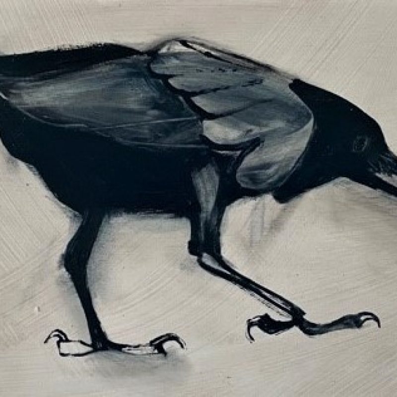 Expressive loose and fluid oil painting of a crow