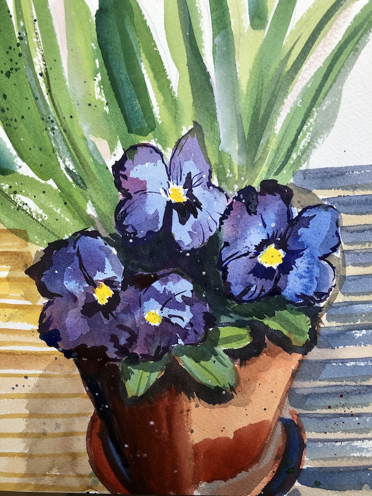 Watercolour paiting of deep purple pansies with yellow centres, in a teracotta pot. Painted en plein air in my garden