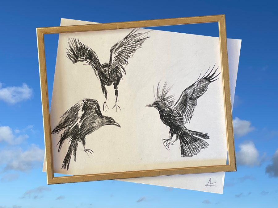 drawing of three flying rooks on a piece of paper that is flying out of a gold frame, against a blue sky with clouds.