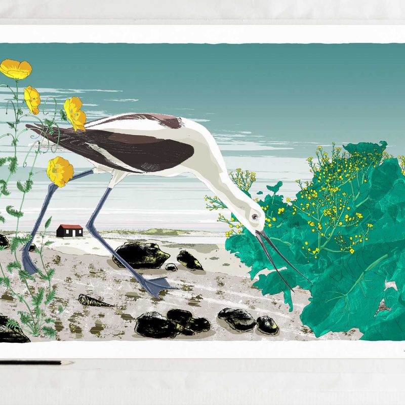 An Avocet bird  by the Red Roofed Hut among Sea Poppies and Sea Kale art print by artist alej ez