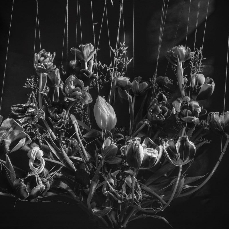A black and white photograph of a still life arrangement of flowers bound, sewn and suspended.