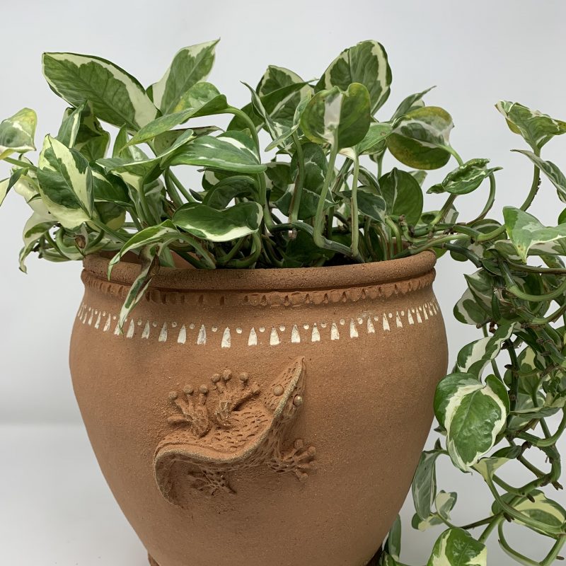 Terracotta large planter with gecko on the front in 3 D. 