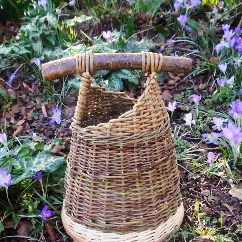 beautiful handwoven willow basket with a hazel handle, nestled amongst purple crocuses on a woodland floor