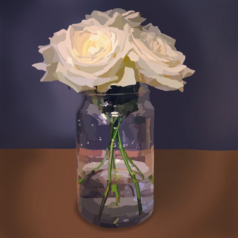 White roses in vase on a deep purple background.