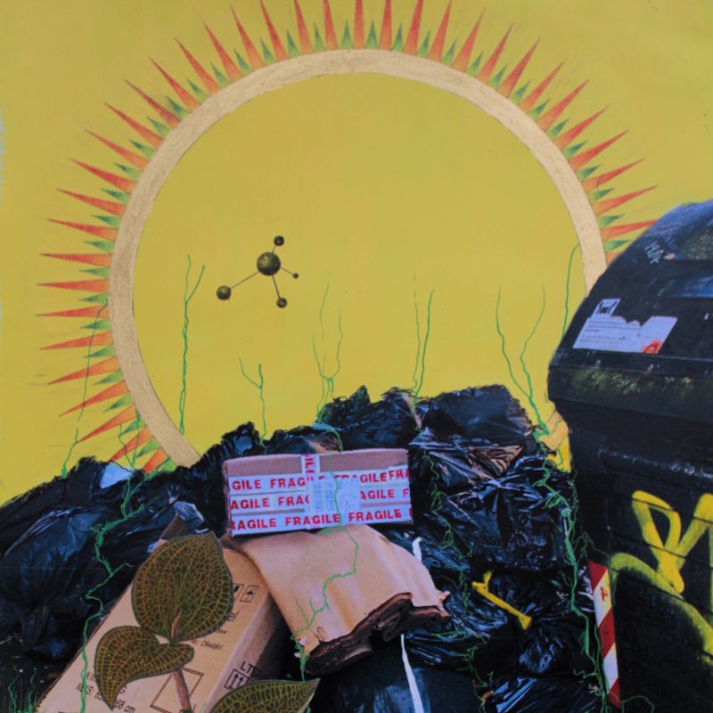 Brighton bin strike photograph with collage and hand drawn plant life, a carbon molecule and sun rays with yellow background.