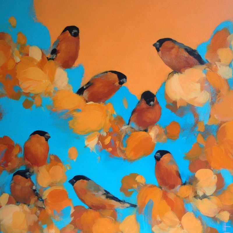 Bullfinches are gathered together in blue and orange.