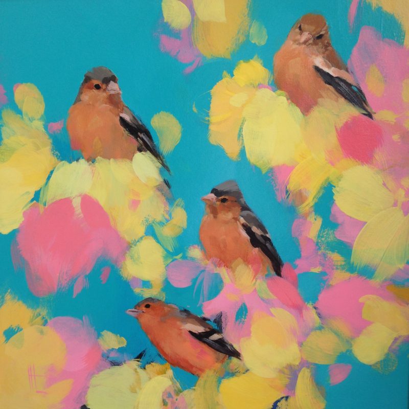 Four chaffinches in high pinks, yellow and blue.