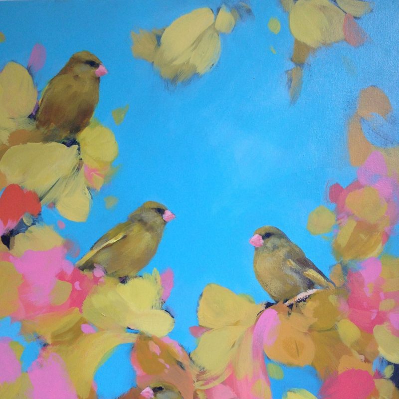 Greenfinches sit in pink and yellow against a bright blue.