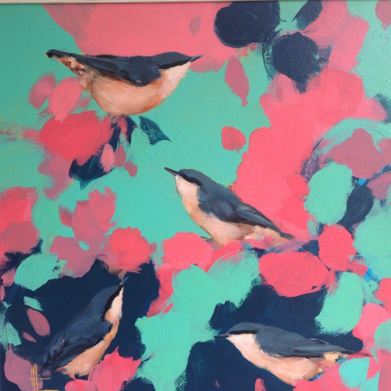 Four nuthatches sit together in a bold mix of bright green and pink