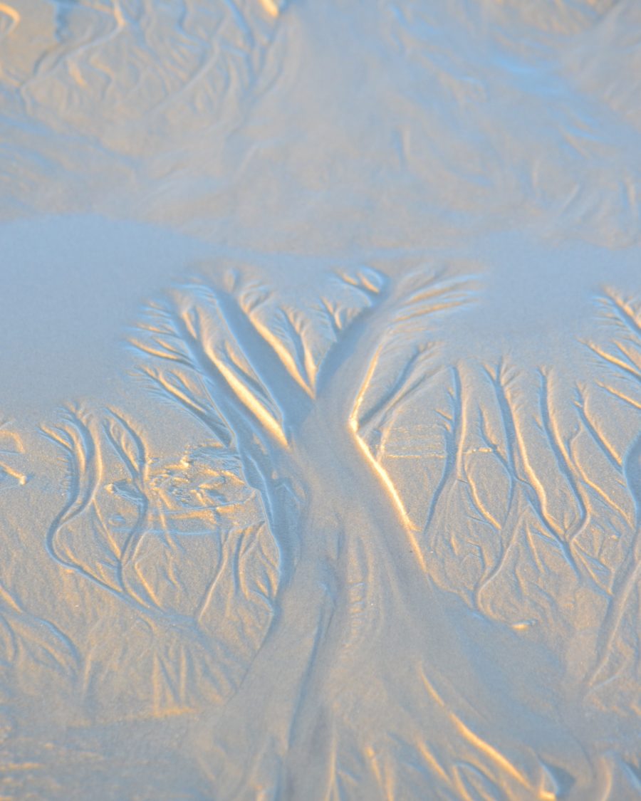 Photograph of the patterns in wet sand highlighted by the winter sunlight
