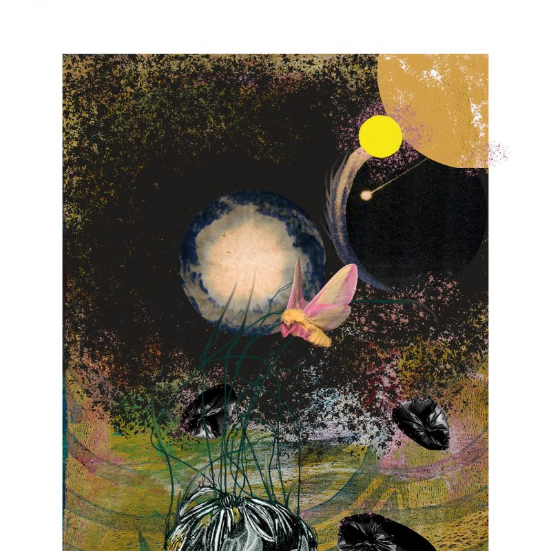 Giclée print of surreal landscape with planet, roots, and pink moth.